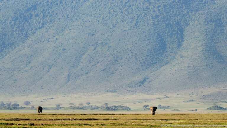 Two distant elephants on open grass below the steep blue-green wall of Ngorongoro Crater.