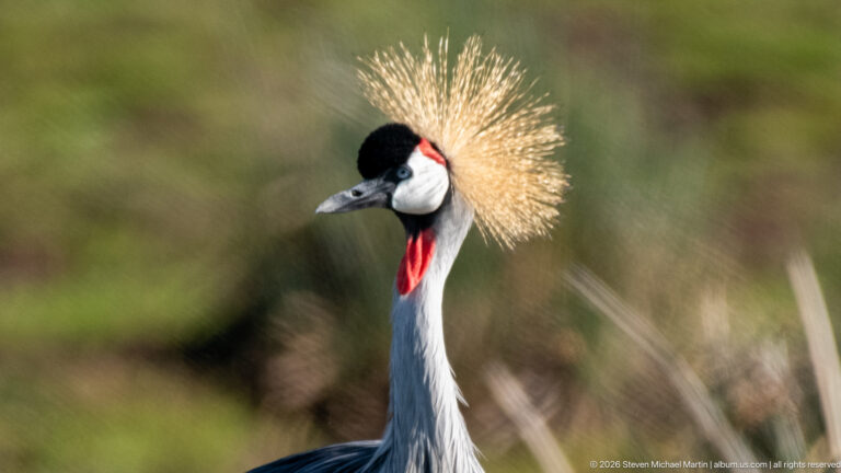Ngorongoro Crater