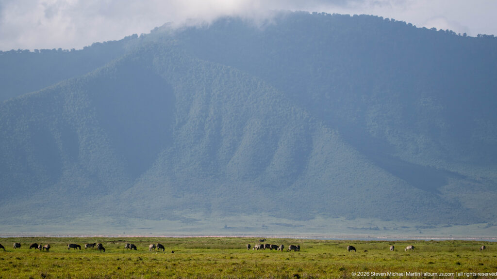 Steep forested Ngorongoro Crater wall rising above open grassland with a small grazing herd below.