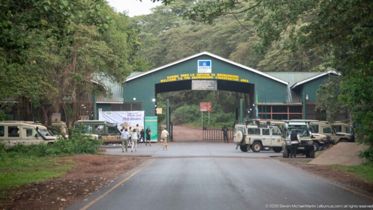 Paved forest road approaching the green-roofed Lodoare Gate with safari vehicles and visitors around the entrance.