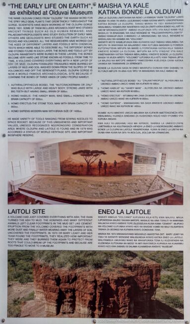 Interpretive panel with text and photographs about Olduvai Gorge, Laetoli, and early human history in Ngorongoro.
