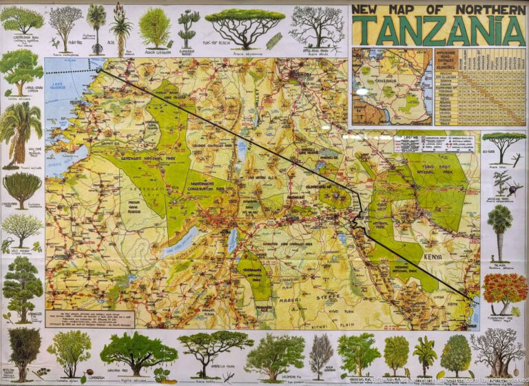 Colorful printed 'New Map of Northern Tanzania' with road network, place names, inset map, and illustrated trees around the border.