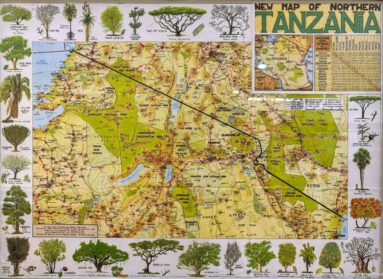 Colorful printed 'New Map of Northern Tanzania' with road network, place names, inset map, and illustrated trees around the border.