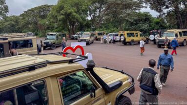 Safari Land Cruisers parked around a paved lot with visitors and guides walking between vehicles near Lodoare Gate.
