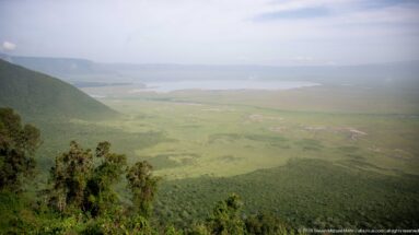 Forested high rim overlooking a broad green crater basin with a pale lake and hazy opposite escarpment.