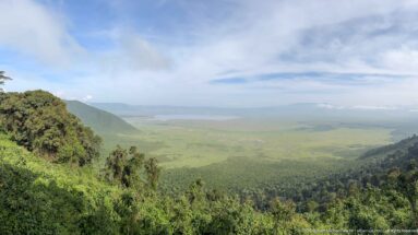 Lush green rim vegetation overlooking the broad Ngorongoro basin, distant lake, and hazy escarpment beneath blue sky.