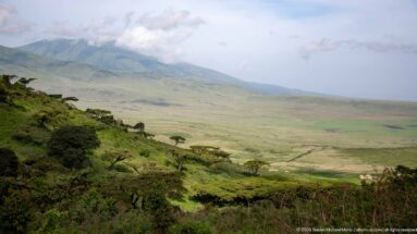 Dense green slope vegetation and flat-topped trees overlooking a broad pale grassland valley and distant mountain ridges.