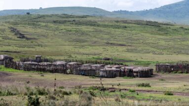 Cluster of low thatched huts inside a circular stick fence on broad green highland grassland.