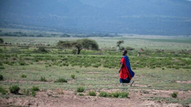 Person in red and blue clothing walking across open grassland with distant livestock, acacia trees, and highland slopes.