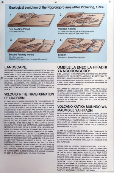Four-stage geological evolution diagram of Ngorongoro above bilingual English and Swahili explanatory text about volcanic landscape formation.