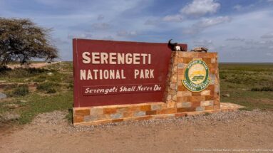 Red and stone Serengeti National Park roadside sign with TANAPA emblem and “Serengeti Shall Never Die” motto.