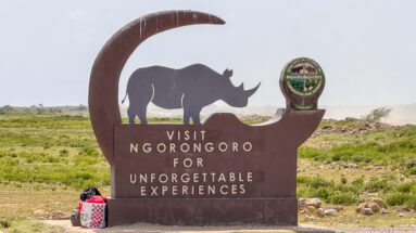 Brown Ngorongoro visitor sign with rhinoceros silhouette, conservation emblem, and “Visit Ngorongoro for unforgettable experiences” lettering.