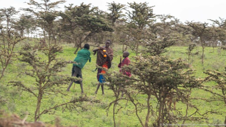 Small group of people in colorful clothing partly obscured by thorny trees and shrubs on green highland ground.