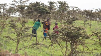 Small group of people in colorful clothing partly obscured by thorny trees and shrubs on green highland ground.