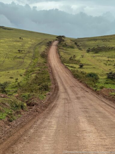 Wide graded dirt road curving through open green Ngorongoro uplands toward a low ridge under dark clouds.