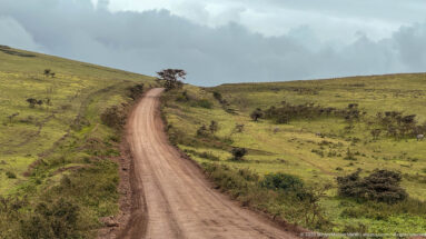 Red dirt road curving uphill through open green Ngorongoro uplands beneath dense gray clouds.