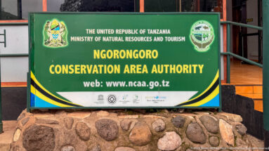 Green Ngorongoro Conservation Area Authority sign with Tanzanian government crest, NCAA emblem, and web address above a stone base.