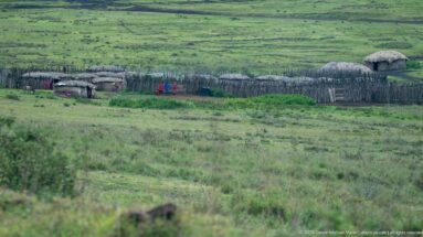 Long stick-fenced boma with low thatched dwellings, small figures, and livestock amid broad green highland grassland.