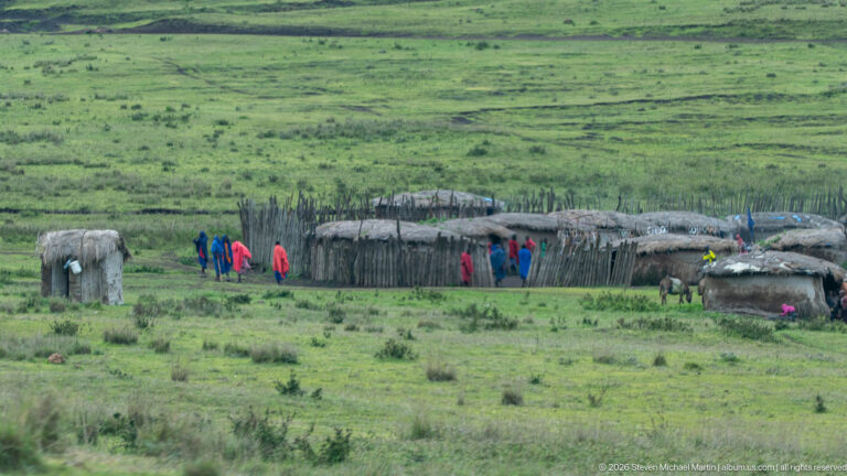 Distant fenced boma on green Ngorongoro pasture with residents in bright clothing and livestock nearby.