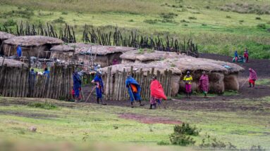 People in colorful wraps beside a large stick-fenced boma with low thatched structures on green Ngorongoro pasture.