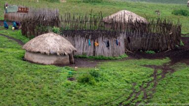 Two round thatched huts beside a tall stick livestock enclosure on green highland pasture.