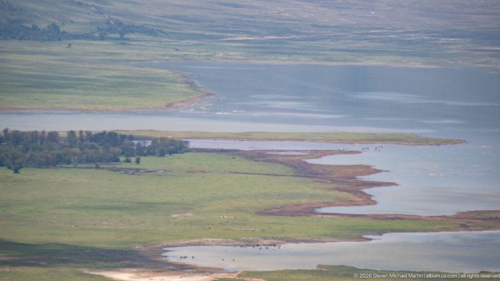 Shallow lake and marshy shorelines across green Ngorongoro Crater grassland, with small groups of animals near the water.