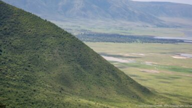 Steep forested Ngorongoro Crater rim descending to pale grasslands, wetlands, and a distant lake on the crater floor.