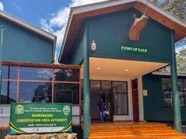 Green Ngorongoro Conservation Area point-of-sale building with official sign, ticket entrance, and mounted antelope head above the doorway.