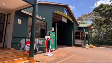 Covered green entrance gate to Ngorongoro Conservation Area with bilingual welcome lettering, information panels, and drive-through lane.