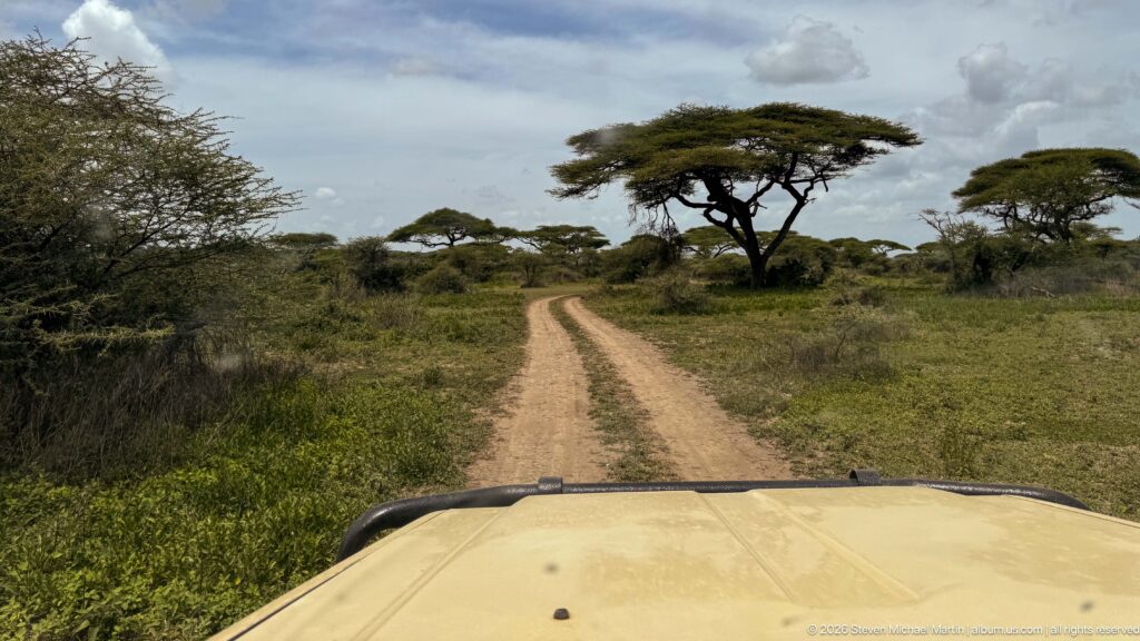 Dirt game-drive track leading through low savanna toward flat-topped acacia trees, seen over a vehicle hood.