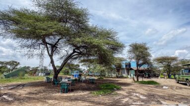 Acacia-shaded Ndutu registration area with plastic chairs, small service buildings, people, utility equipment, and a safari vehicle.
