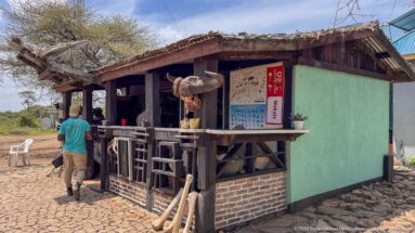 Visitor walking toward a rustic open-fronted refreshment kiosk with stools, beverage signs, and animal-horn decor.