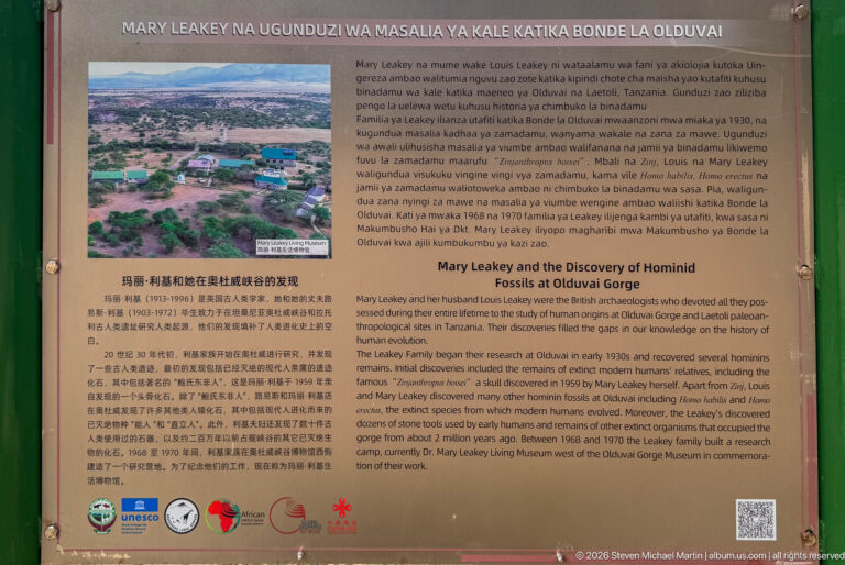 Panel titled Mary Leakey and the Discovery of Hominid Fossils at Olduvai Gorge with historic photograph and multilingual text.