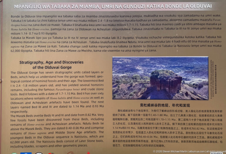 Multilingual museum panel on Olduvai Gorge stratigraphy and discoveries with text and a photograph of a layered outcrop.
