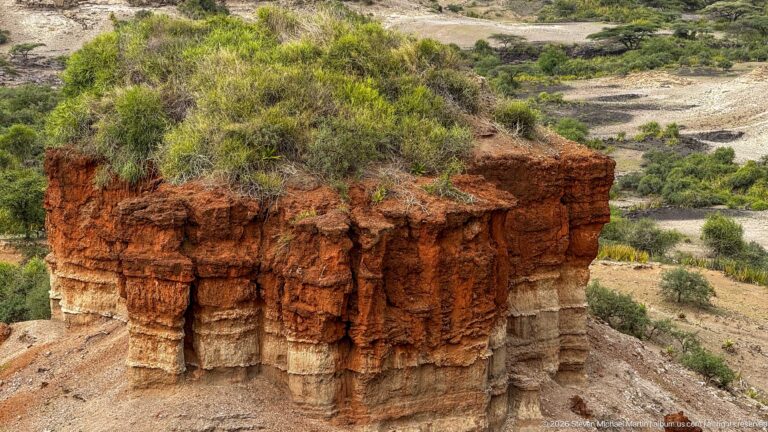 Red-brown cliff remnant with pale fluted lower layers, topped by grasses and shrubs above the gorge.