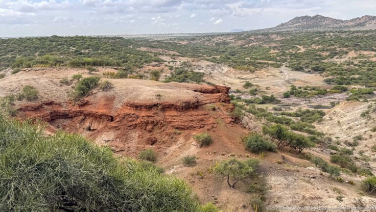 Ngorongoro Olduvai Gorge