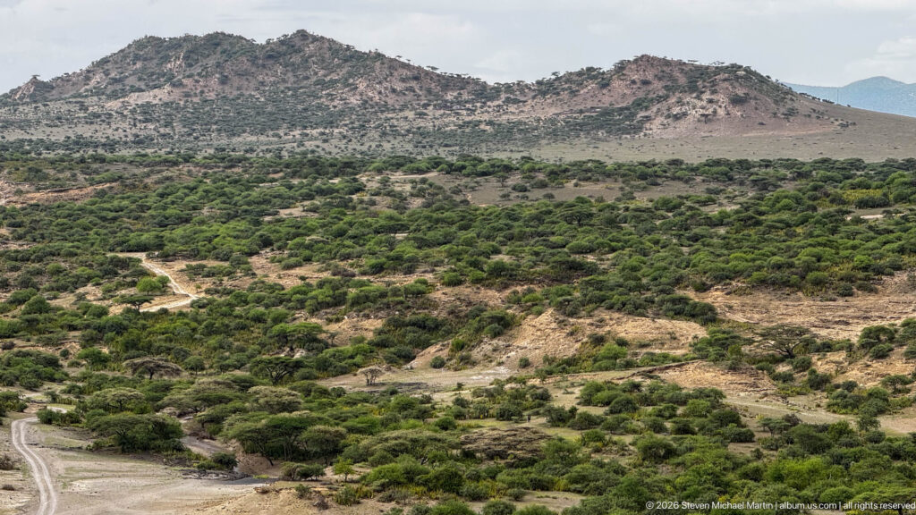 Green shrub-covered basin crossed by pale tracks and drainage lines below low rocky ridges.