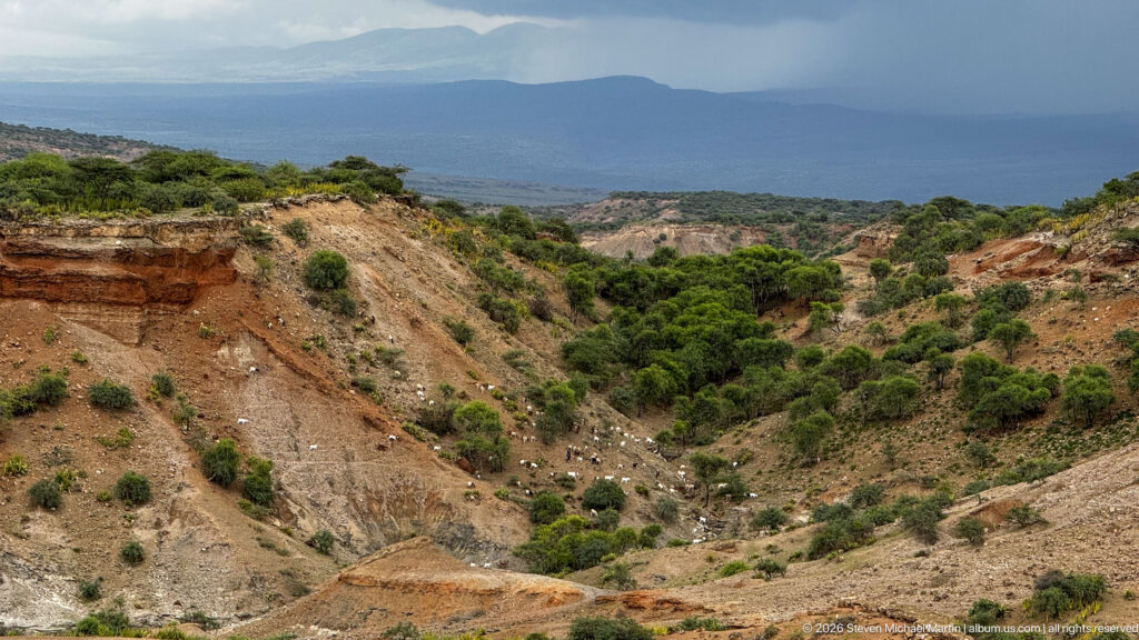 Eroded gorge with pale and reddish sediment layers, scattered shrubs, and distant blue-gray escarpments.
