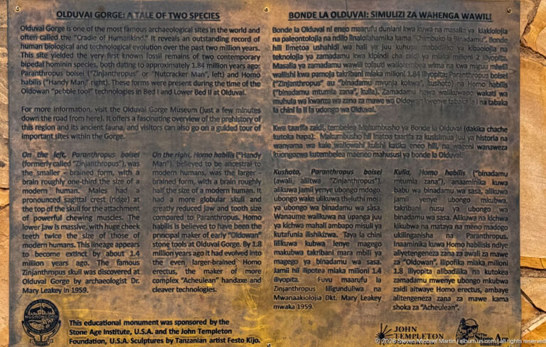 Bilingual English and Swahili plaque explaining the hominin species represented by the Olduvai monument.
