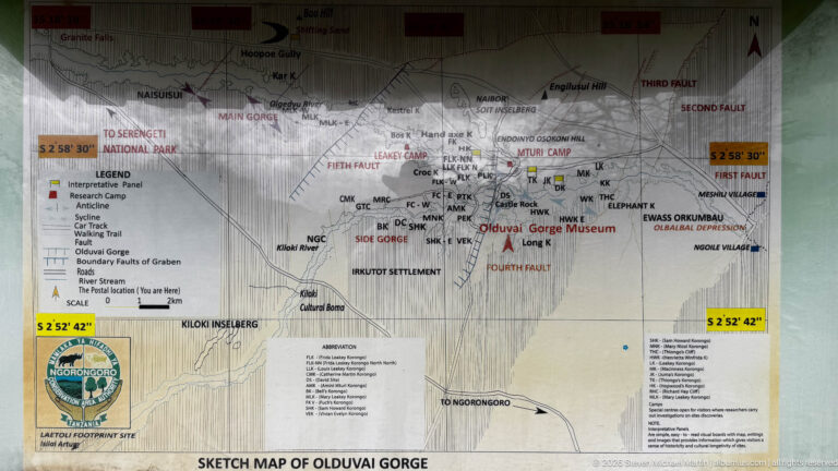 Large sketch map of Olduvai Gorge showing gorge branches, faults, roads, camps, and nearby settlements.