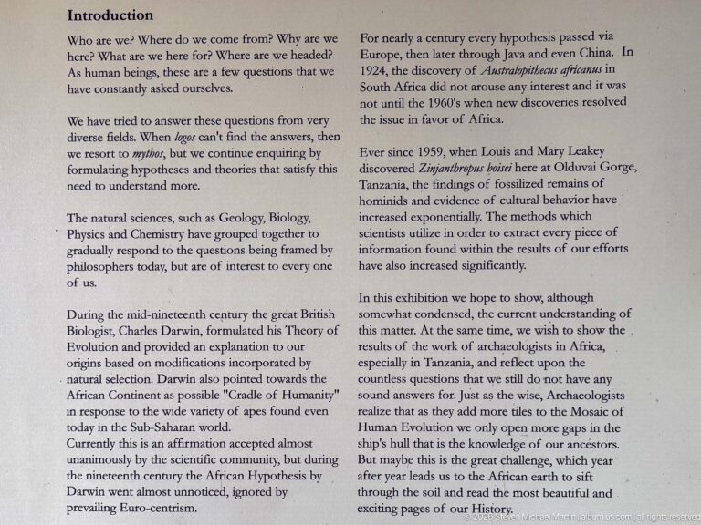 White museum wall panel introducing questions about human origins and the history of evolutionary research.