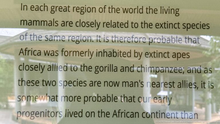 Large Charles Darwin quotation about African human origins printed on transparent glass with courtyard reflections.