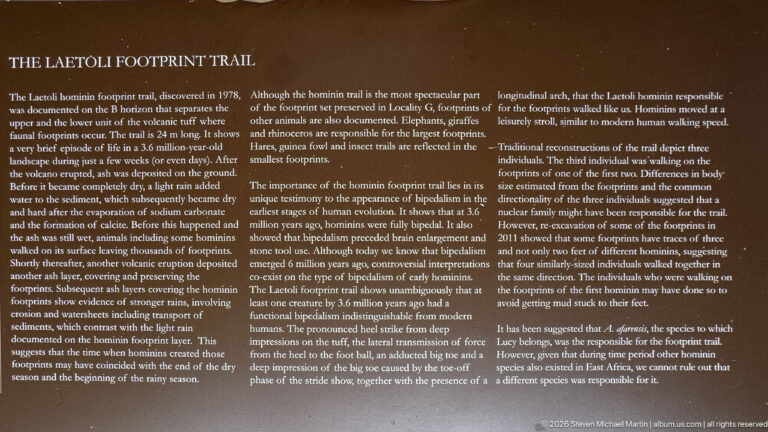 Brown interpretive panel explaining the Laetoli hominin footprint trail and its evidence for bipedal walking.