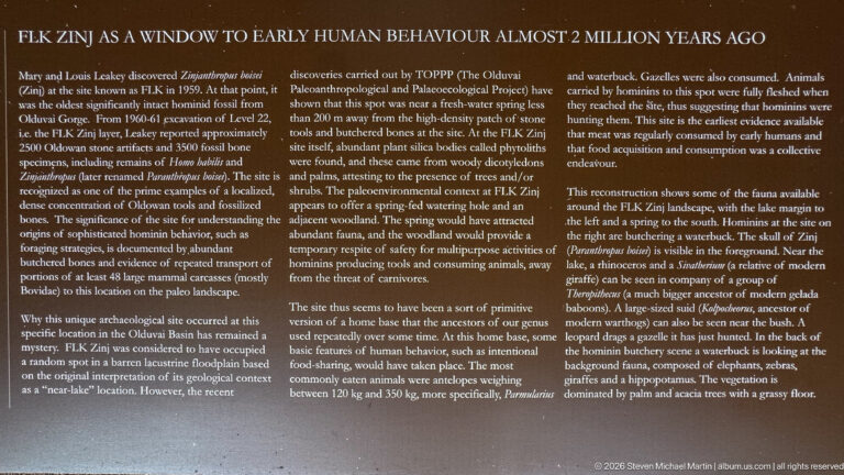 Wide brown museum panel titled “Early Human Behaviour Almost 2 Million Years Ago” with several columns of text.