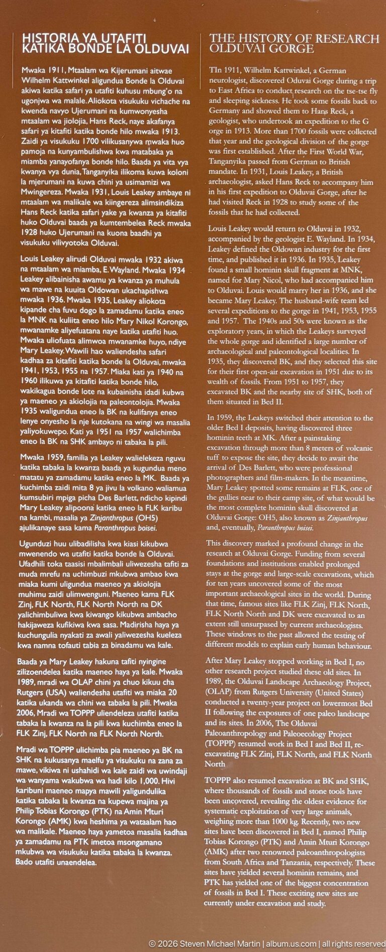 Large brown bilingual museum panel with two dense columns discussing evolutionary research and human origins.