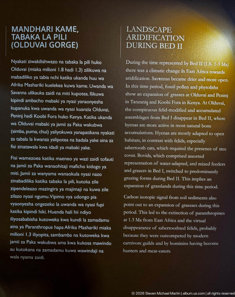 Bilingual dark museum panel headed “Landscape Aridification During Bed I” with explanatory text.