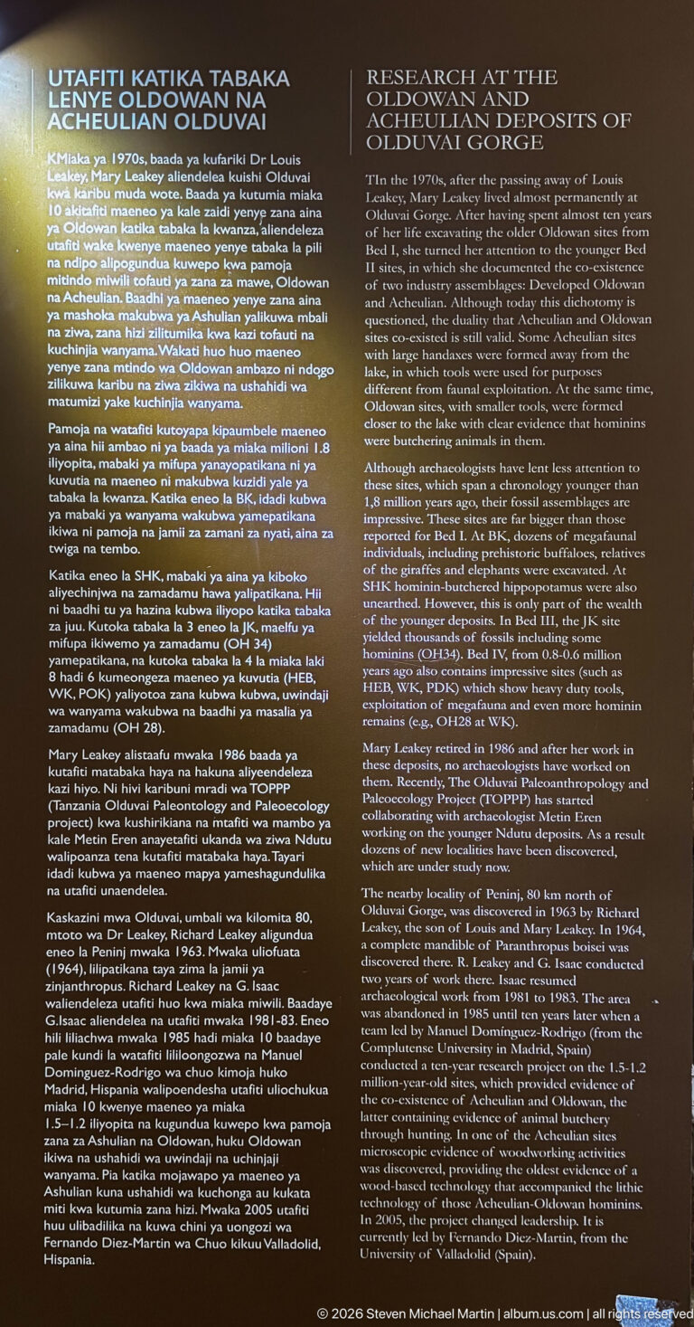Dark bilingual museum panel describing the history and development of research at Olduvai Gorge.