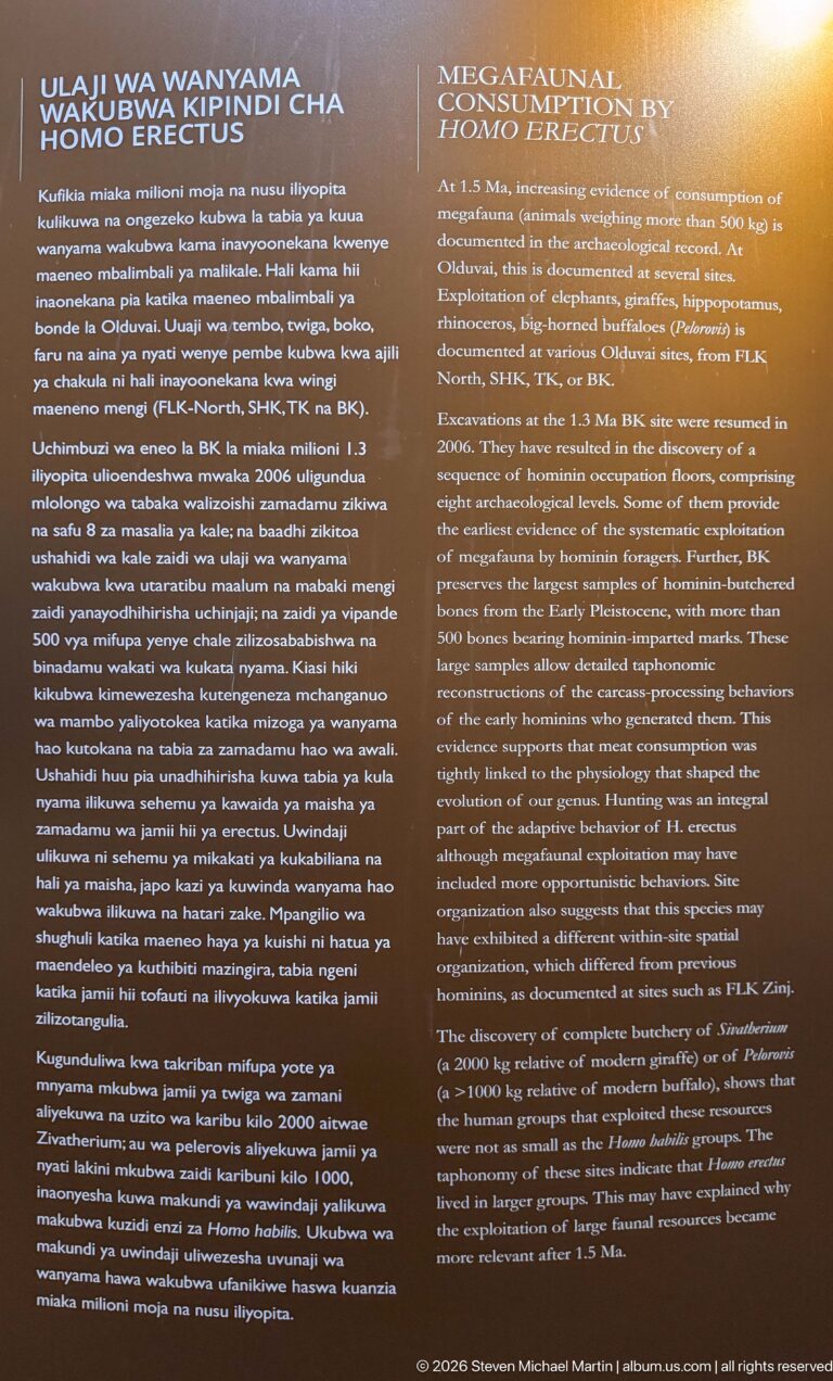 Bilingual Swahili and English interpretive panel with dense text about archaeological research and conservation.