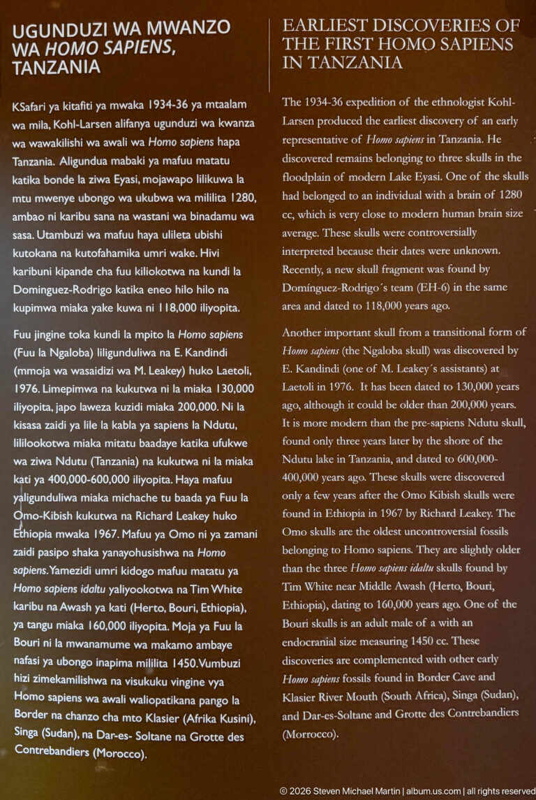 Dark museum panel headed Earliest Discoveries of Early Homo sapiens in Tanzania with dense bilingual explanatory text.
