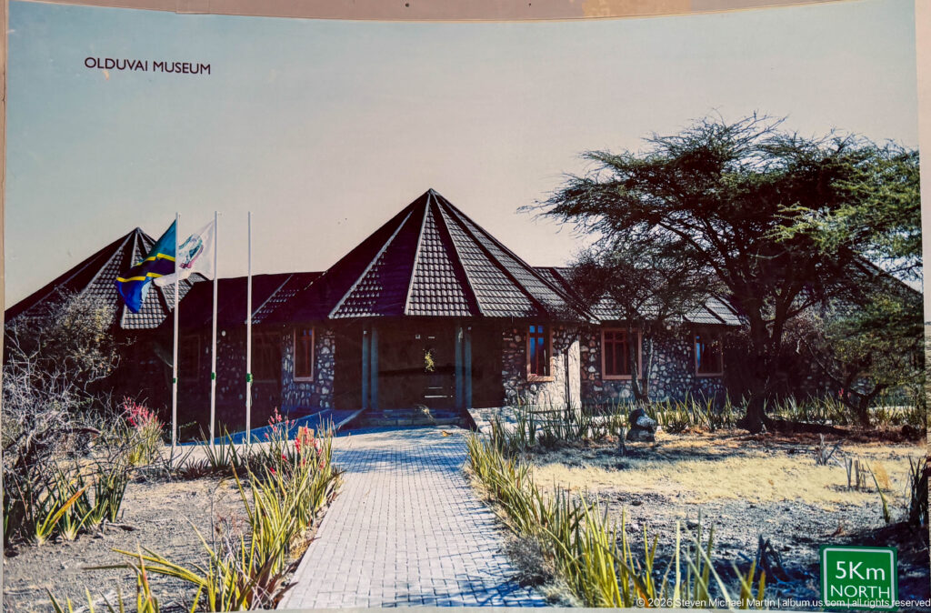 Straight paved approach to Olduvai Gorge Museum with flagpoles, stone buildings, dark roofs, and an acacia tree.